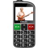 EVOLVEO Mobilní telefon pro seniory s nabíjecím stojánkem EasyPhone FL, stříbrná