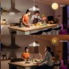 PHILIPS Hue White žárovka 15.5W E27 A67 DIM