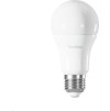 TechToy Smart Bulb RGB 9W E27 ZigBee - polepeno