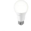 TechToy Smart Bulb RGB 9W E27 ZigBee - polepeno