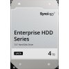 Synology HDD HAT5300-4T (4 TB, SATA 6 Gb/s)
