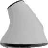 EUPHONIE PRO WHITE NMY 2378 render v1 4