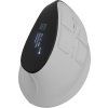 EUPHONIE PRO WHITE NMY 2378 render v1 1 s