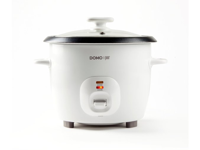 2070 15400 01 DO9176RK main