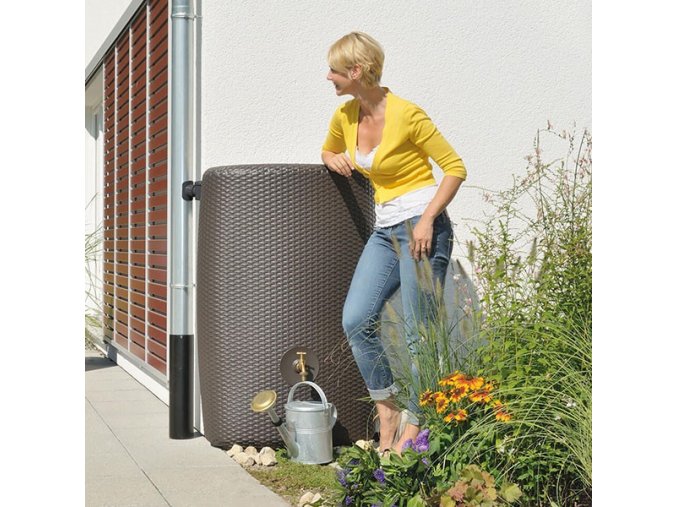 081cb51db1044d4a2a45d74da5c9223c