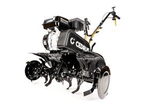 16282 cedrusgl01 01