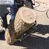 Scheppach Compact 10 T