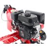 EUROSYSTEMS EURO5 EVO 2+1 B&S CR950 208