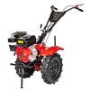 16291 cedrusgl06 01
