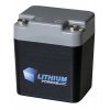 Lithiovo-fosfátová baterie (LiFePO4), 13,2 V - 3,3 Ah(10602)