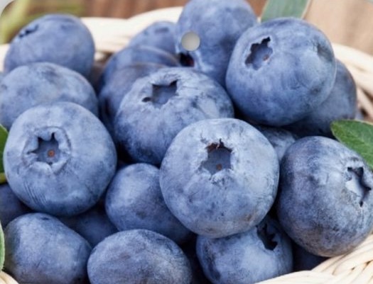 Rozdíly mezi borůvkami