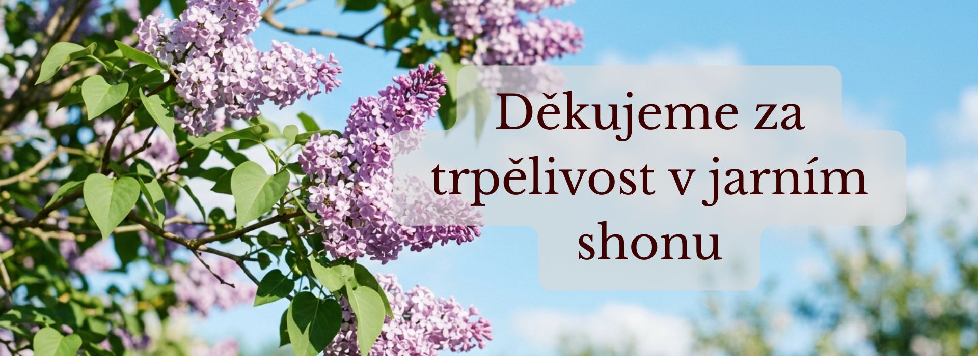 Děkujeme za trpělivost v jarním shonu