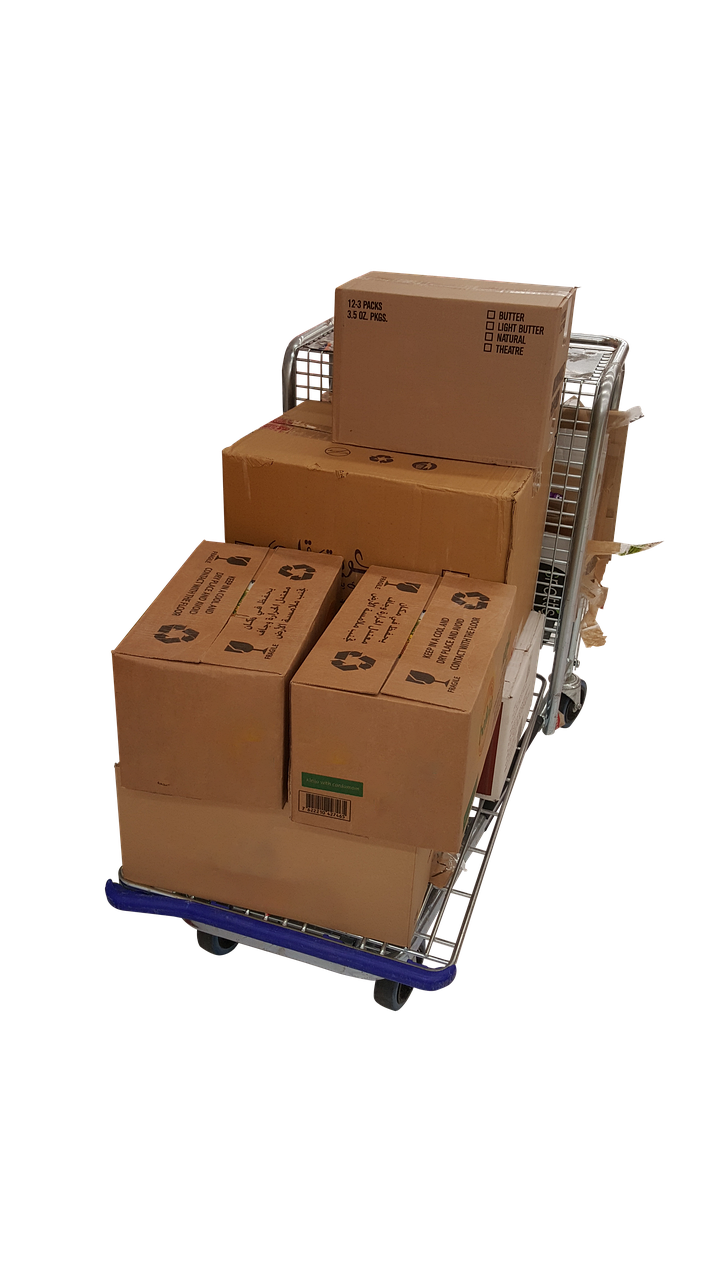 Cesta vaší rostliny: Proč někdy potřebujeme trochu více času?