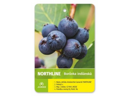 Muchovník olšolistý NORTHLINE