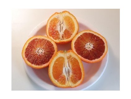 Pomeranč SANGUINELLO