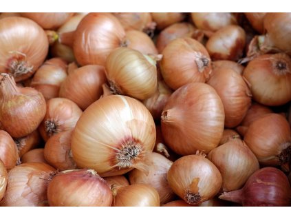couleur onions 1397037 1280