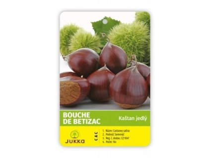 Kaštanovník setý BOUCHE DE BETIZAC