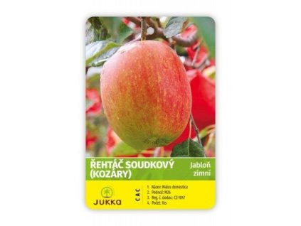 Jabloň ŘEHTÁČ SOUDKOVITÝ - A2
