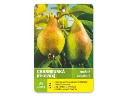 Hrušeň CHARNEUSKÁ - OK 10-12, Arbotaška