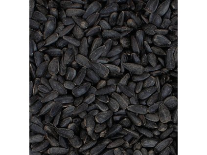 slunečnice černá - 1 kg