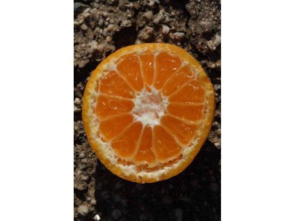 avana apireno 20161213 1800501146