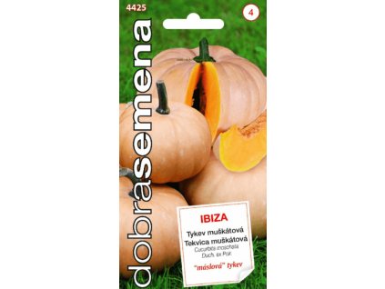 Tykev muškátová (máslová) IBIZA