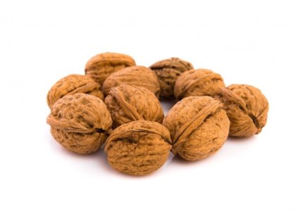 Ořešák vlašský (syn. ořešák královský) - 30-50cm, QP