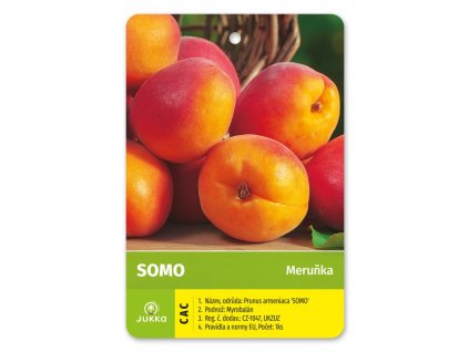 Meruňka SOMO - myr.