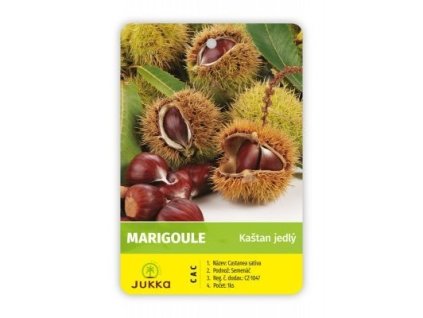 Kaštanovník setý MARIGOULE
