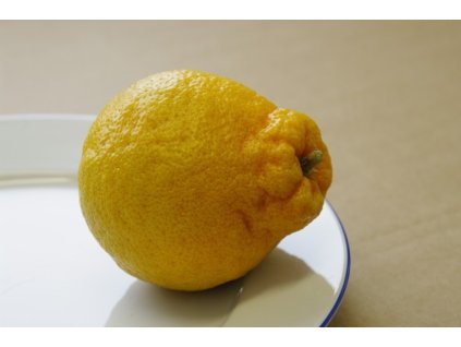 Mandarinka ´MIYAGAWA 00´