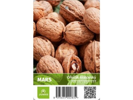 Ořešák vlašský MARS