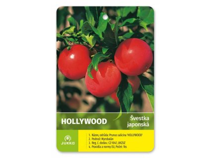 Slivoň HOLLYWOOD - St. Jul.