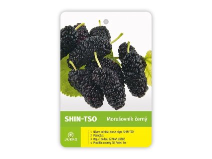 Moruše SHIN TSO (50-80cm, K2)