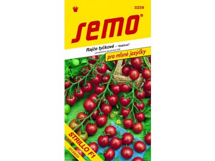 Rajče tyčkové - STRILLO F1