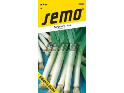 Pór - GIGANTE SUIZO - letní výprodej semen ex. 2024