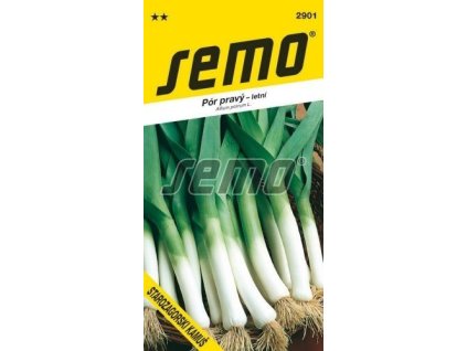 Pór - STAROZAGORSKI KAMUŠ - výprodej semen ex. 2024