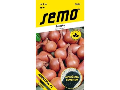 Cibule - AMBITION F1 (šalotka) - výprodej semen ex. 2024