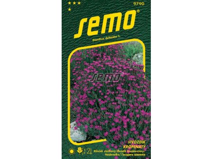 Hvozdík kropenatý - MAIDEN PINK - výprodej semen ex. 2024