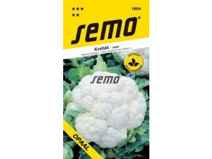 Květák podzimní- Veronica F1 (typ Romanesco)