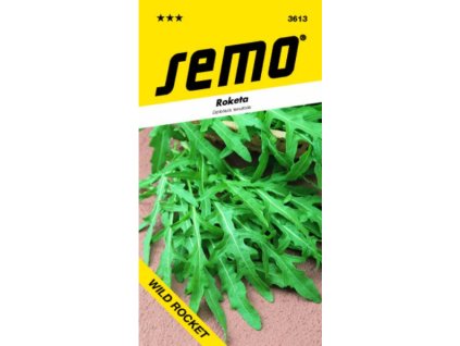 Roketa WILD ROCKET výprodej r. 2025