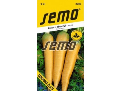 Mrkev - Táborská žlutá výprodej. ex. 2025