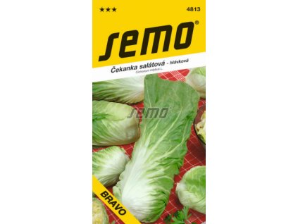 Čekanka hlávková Pan di Zucchero BRAVO výprodej. ex. 2025