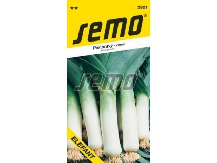 Pór - ELEFANT - zimní