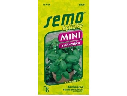 Bazalka pravá - MAMMOLO GENOVESE