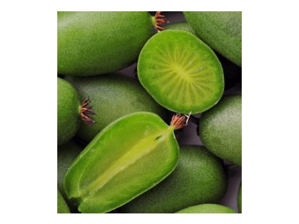 Kiwi - Aktinidie význačná VITIKIWI®- samosprašné