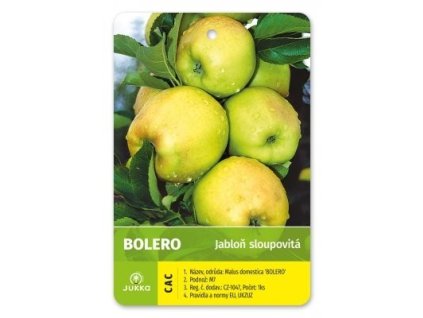 Jabloň sloupovitá BOLERO - M7