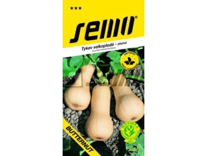 Tykev muškátová (máslová) LISCIA (BUTTERNUT)