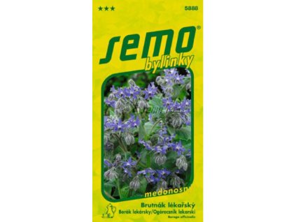 Brutnák lékařský