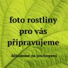 Ekozahradnictvi rostliny