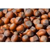 hazelnuts 3783066 1280